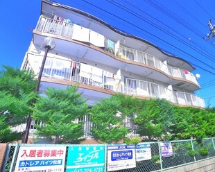 市川カトレアハイツ松塚の物件外観写真